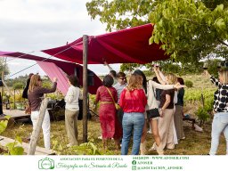 Festival Mar de Tethys 2026 - Bodega Vetas